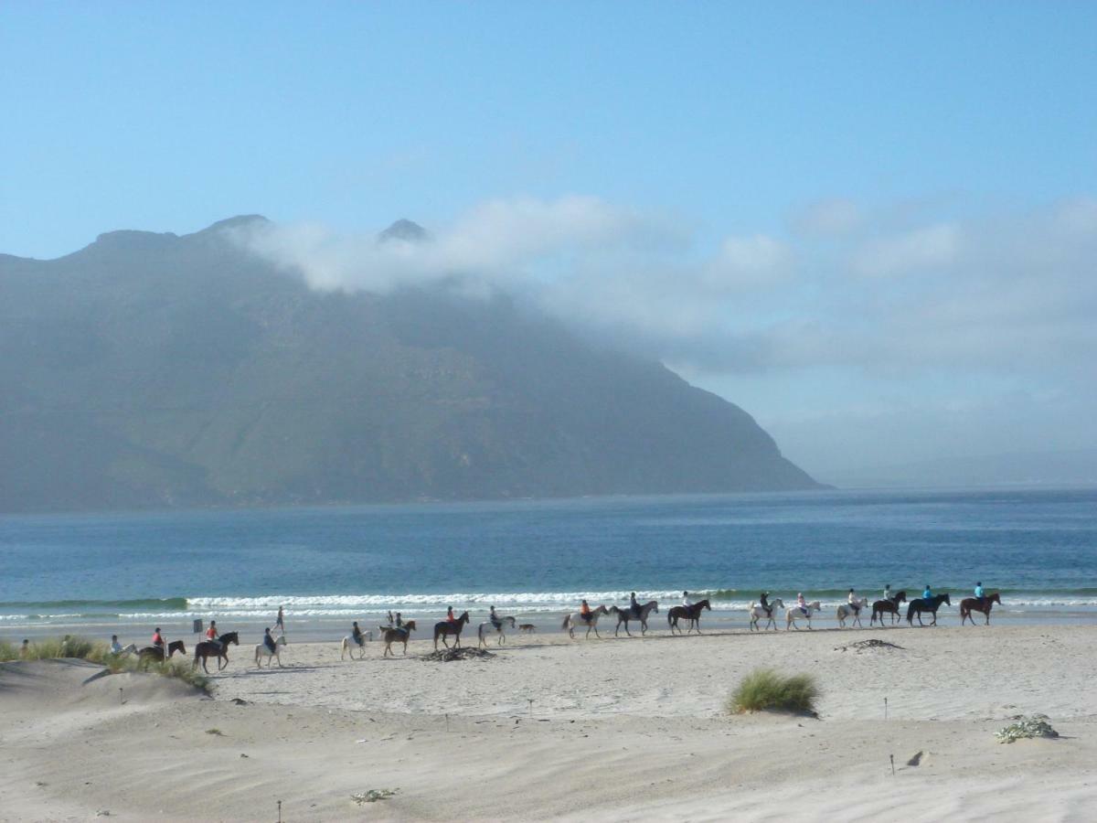Chapmans Peak Beach Hotel Hout Bay Εξωτερικό φωτογραφία